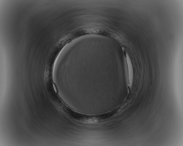 X0000086220600200704261838