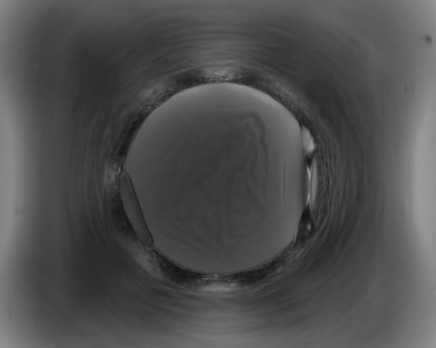 X0000086220601200704261838