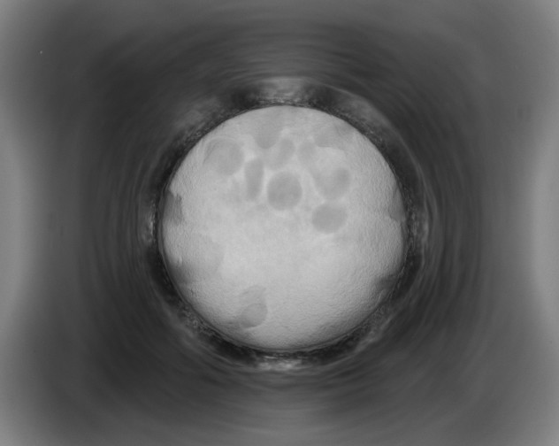 X0000086220602200704261838