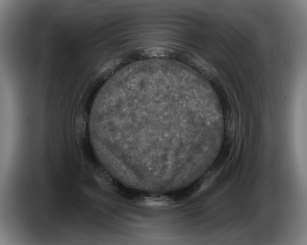 X0000086220603200704261838