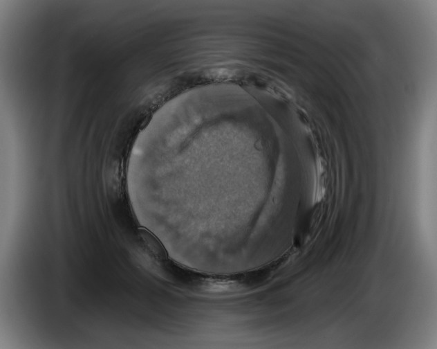 X0000086220605200704261838