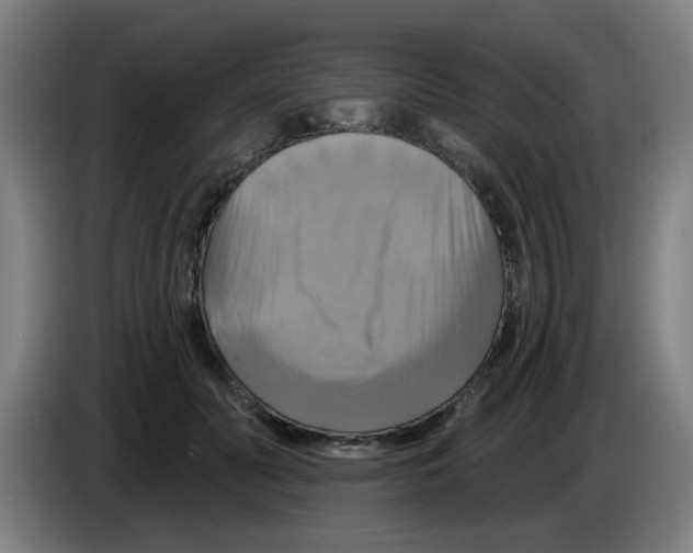 X0000086220606200704261838