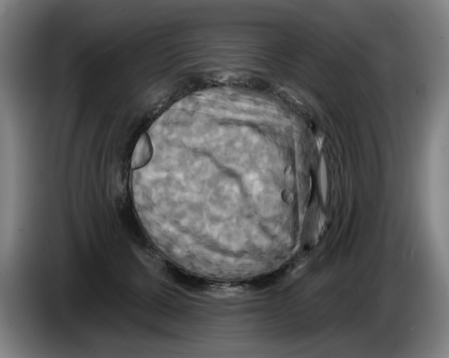 X0000086220607200704261838