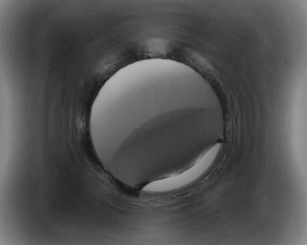 X0000086220608200704261838