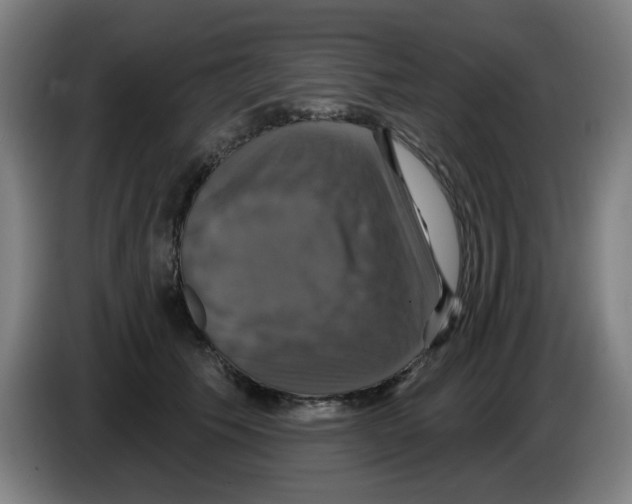 X0000086220609200704261838