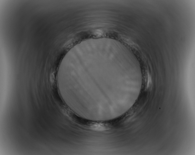 X0000086220611200704261838