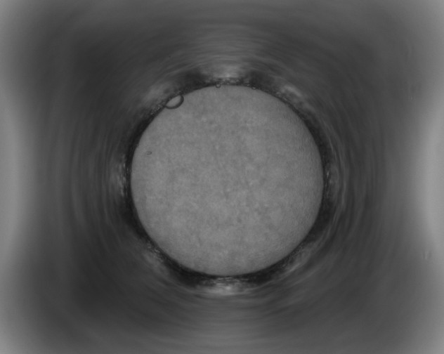 X0000086220612200704261838