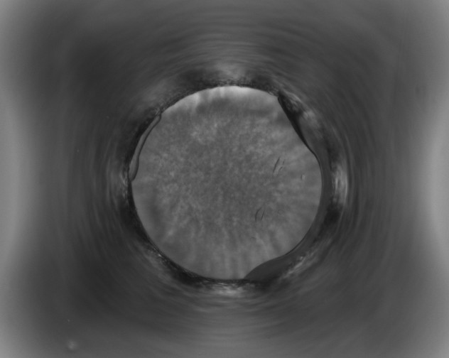 X0000086220613200704261838