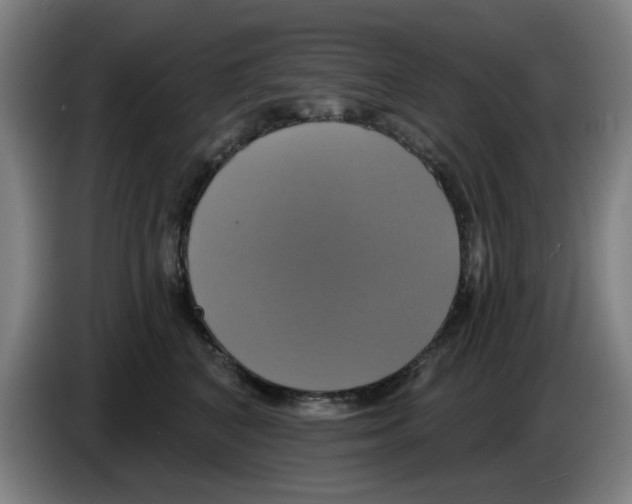 X0000086220616200704261838