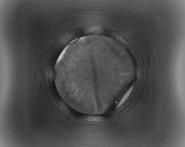 X0000086220617200704261838