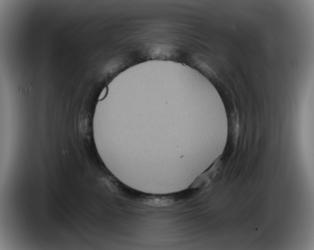 X0000086220619200704261837