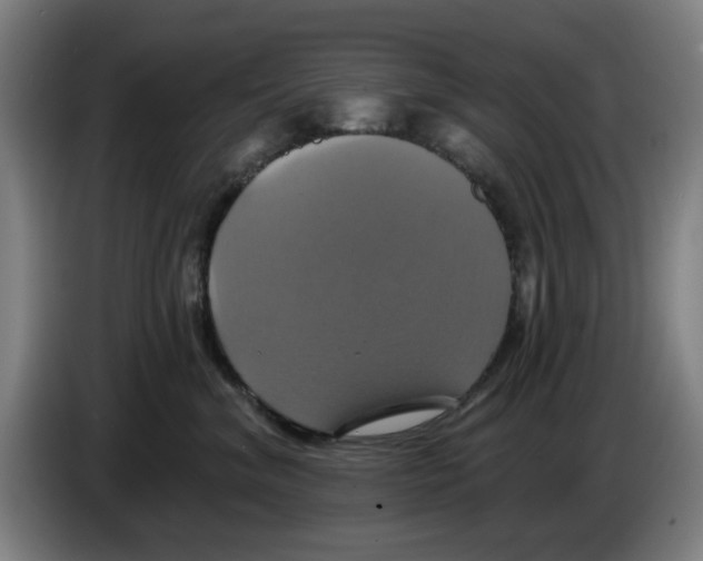 X0000086220620200704261837