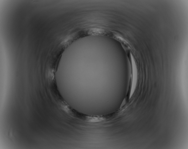 X0000086220621200704261837