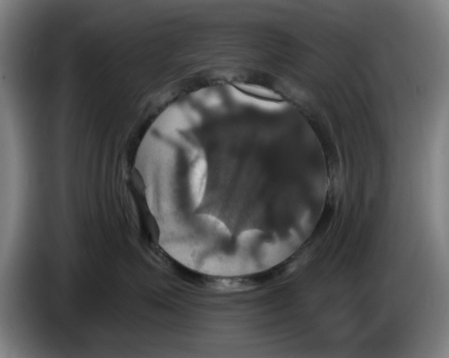 X0000086220623200704261837