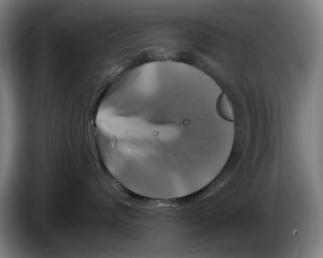 X0000086220624200704261837