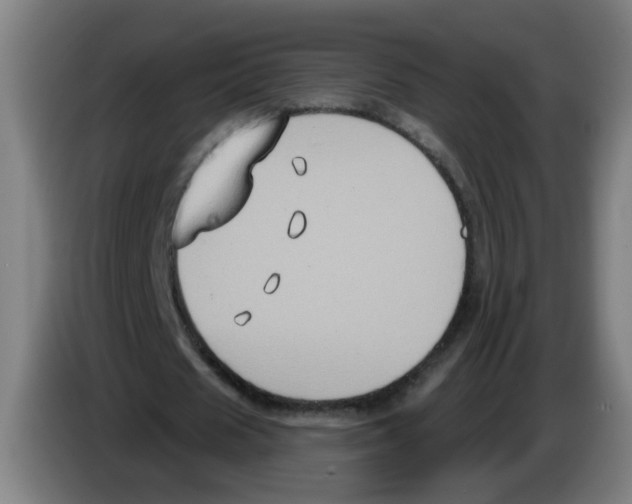 X0000086220625200704261837