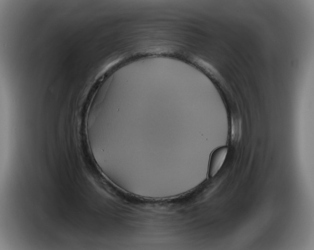 X0000086220627200704261837