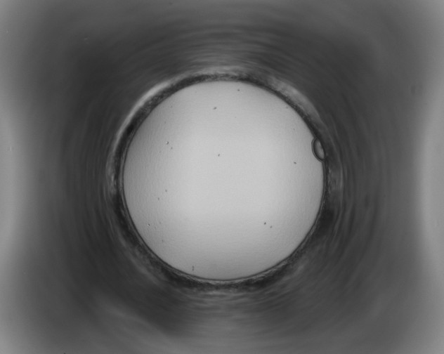 X0000086220628200704261837