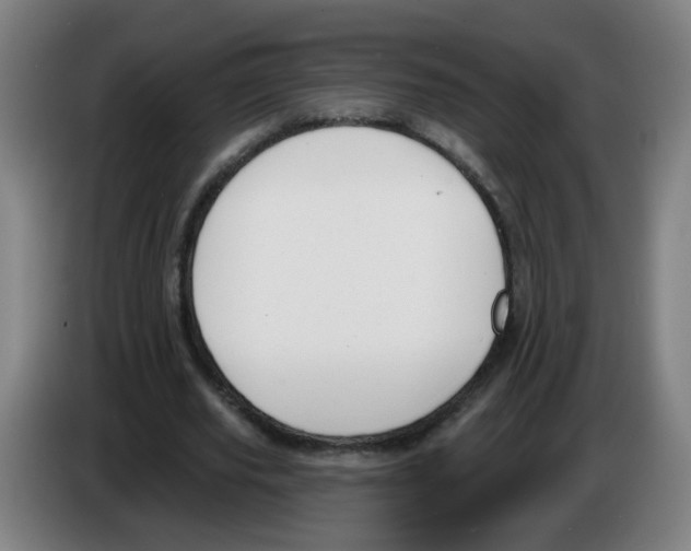 X0000086220629200704261837