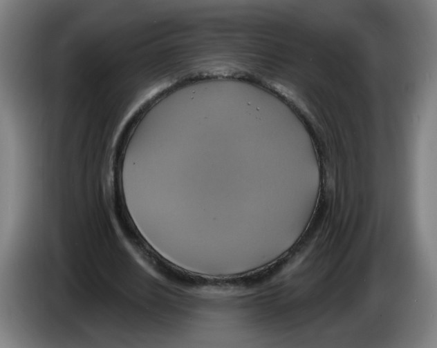 X0000086220630200704261837