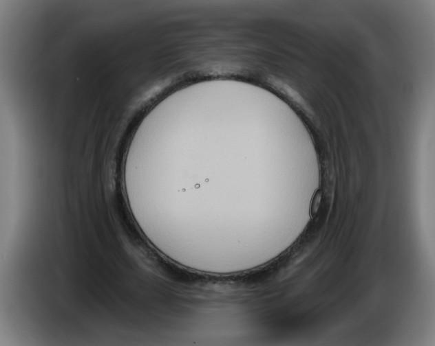 X0000086220631200704261837