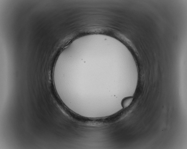 X0000086220633200704261837