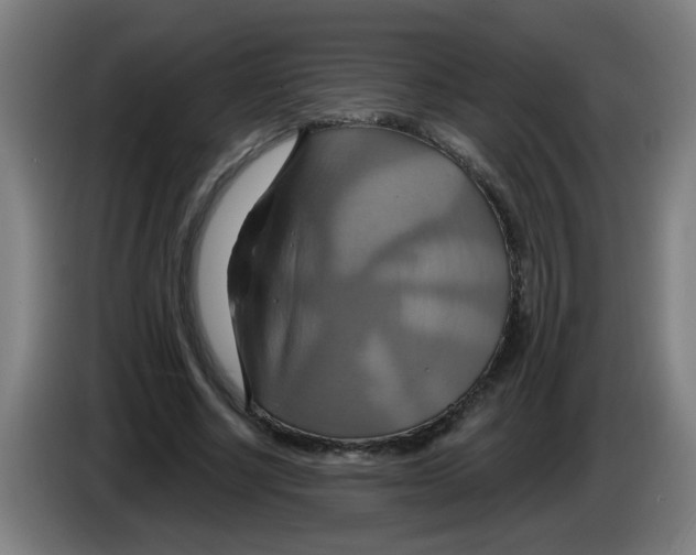 X0000086220634200704261837