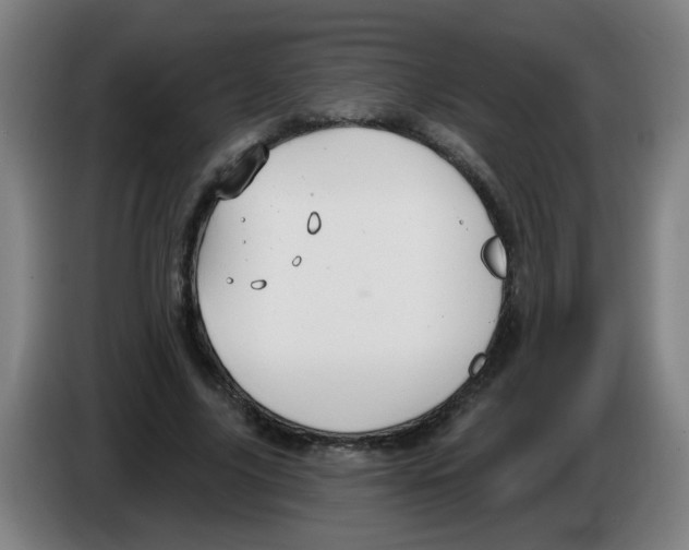 X0000086220635200704261837