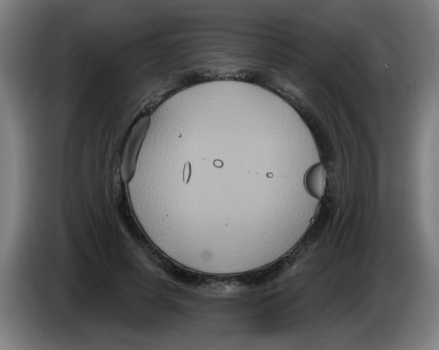 X0000086220642200704261837