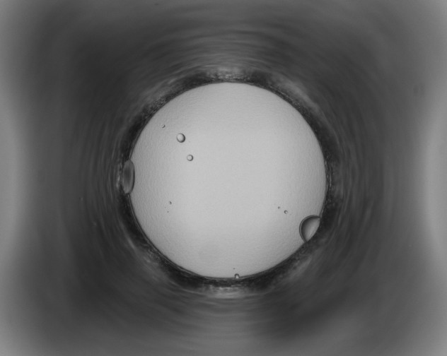 X0000086220645200704261837