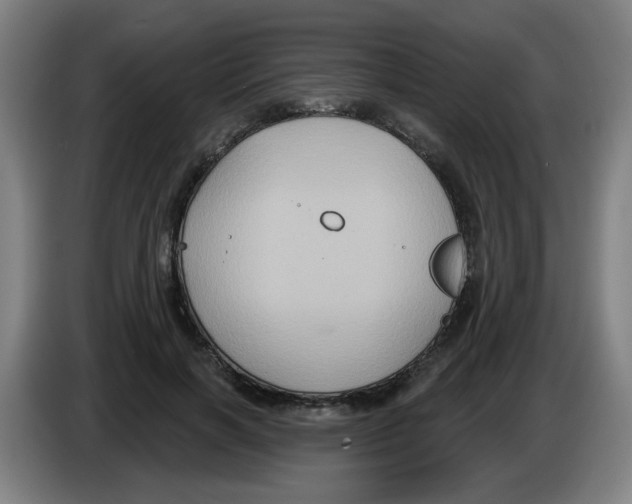 X0000086220646200704261837