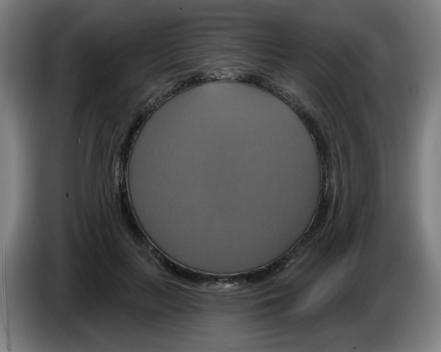 X0000086220647200704261837