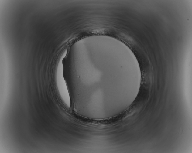 X0000086220648200704261837