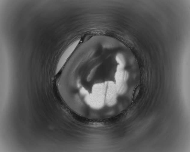 X0000086220649200704261837