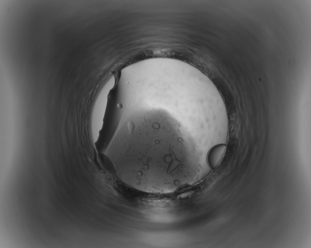 X0000086220650200704261837