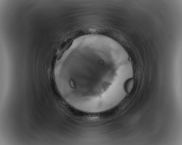 X0000086220651200704261837