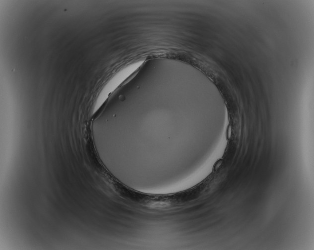 X0000086220653200704261837