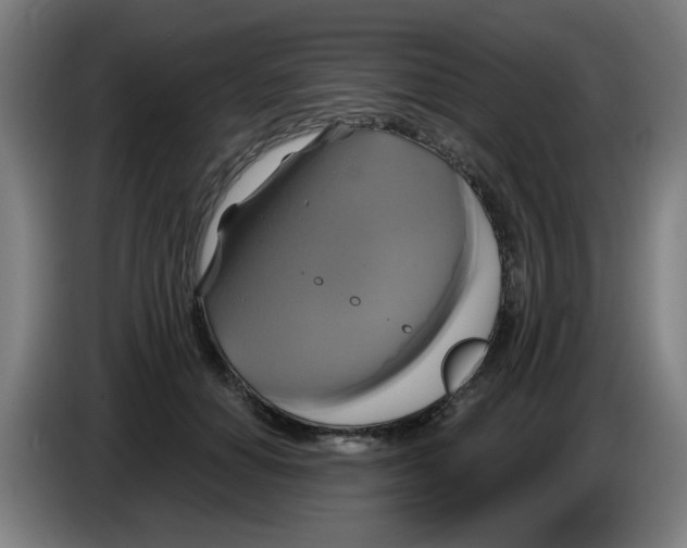 X0000086220654200704261837