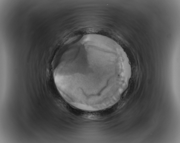 X0000086220655200704261837