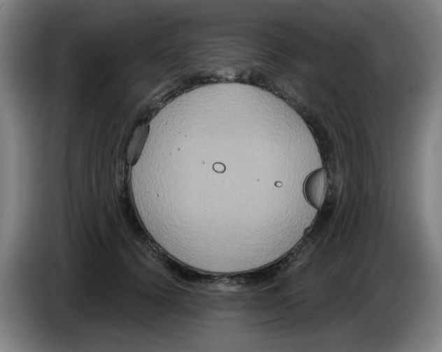 X0000086220656200704261837