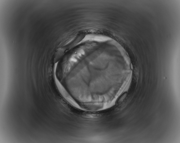 X0000086220657200704261837