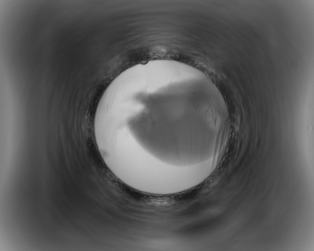 X0000086220659200704261837