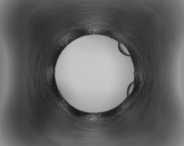 X0000086220660200704261837