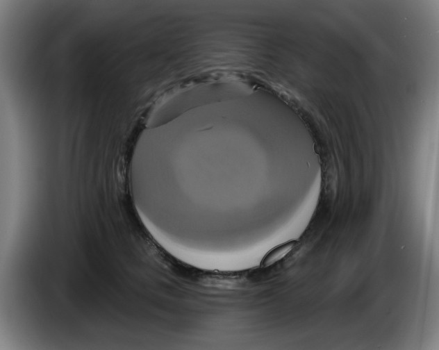 X0000086220661200704261837