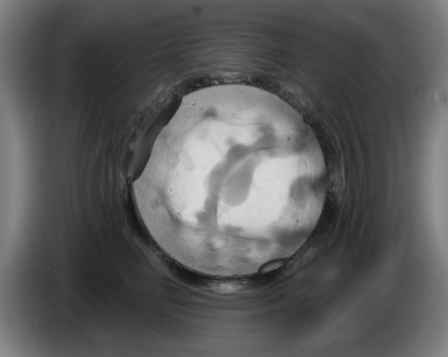 X0000086220662200704261837