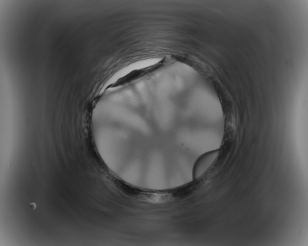 X0000086220663200704261837