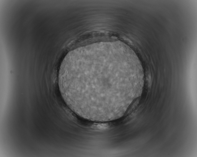 X0000086220665200704261837