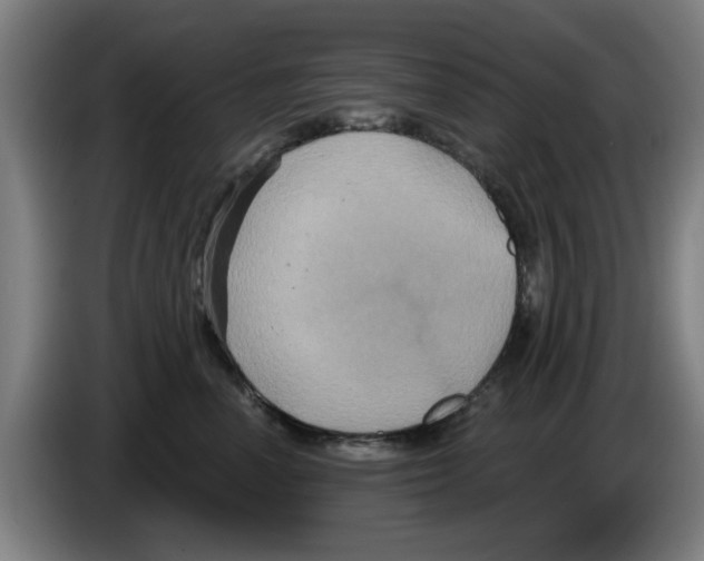 X0000086220666200704261837