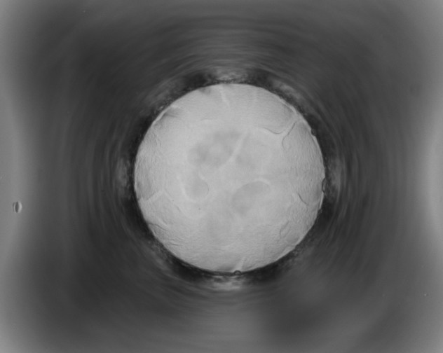 X0000086220667200704261837