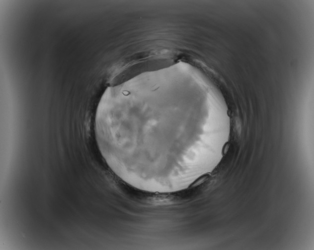 X0000086220668200704261837